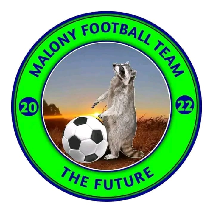 Malony Football Team logo